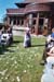 lauer024_21a